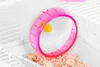 Cage pour hamster, cochon d'Inde ou autre petit rongeur, Voir les images du produit 10