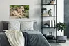 MuchoWow® Poster Wolf - Jungtier - Tier 60x40 cm - Produktbild-Vorschau 4