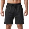Herren Sport Shorts M - Schwarz Trainingsshorts - mit Produktbild-Vorschau 1