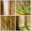 Bild auf Leinwand - Leinwandbild - Bäume Sonne Natur - Produktbild-Vorschau 8