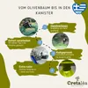 Olivenöl 3 Liter Kanister aus biologischem Anbau - Cretalèa Produktbild-Vorschau 8