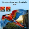 Hikers 32FZ-B Téléviseur Smart TV -  Écran 32 pouces Voir les images du produit 4