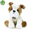 Rappa Plüsch Bulldogge Kuscheltier 26 cm umweltfreundliches Produktbild-Vorschau 6