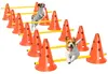 Set PawHut per agility: attrezzatura da agility in 6 pezzi Anteprima dell’immagine prodotto 1