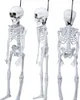 Squelette Halloween Décoration d'horreur environ 40 cm Voir les images du produit 2