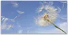 Tulup Leinwand-Bilder 140x70 Wandbild Canvas Kunstdruck Produktbild-Vorschau 1
