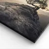 Bild auf Leinwand - Leinwandbild - Einteilig - Alt Kiefer Produktbild-Vorschau 5