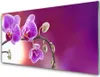 Acrylglasbilder 100x50 Wandbild Druck Blumen Pflanzen Produktbild-Vorschau 1
