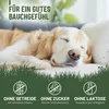 REAVET Gras & Kotfresser Drops für Hunde – Sekundierend bei Produktbild-Vorschau 5
