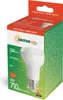 The image shows the packaging of a Spectrum LED light bulb. Produktbild-Vorschau