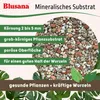 Blusana Mineralisches Pflanzsubstrat 30 Liter (3 x 10 l) Produktbild-Vorschau 3