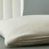 Bio Hirsekissen 40x60cm, Bio-Flanell + Bio Füllung, direkt Produktbild-Vorschau 2