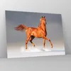 Bilder auf glas - Tiere Pferd Galopp Geschwindigkeit - Produktbild-Vorschau 4