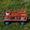 A red metal wagon filled with buckets of strawberries sits on a grassy lawn. Anteprima dell’immagine prodotto