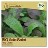 Samenliebe  Asia Salat Samen | Red Giant - winterhart & rot Produktbild-Vorschau 1