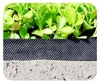 Bordure per aiuole in plastica 10cm x 6m | Aiuole giardino Anteprima dell’immagine prodotto 4