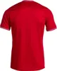 Joma Handballtrikot TOLETUM V TRIKOT Produktbild-Vorschau 3