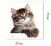 GKA Fenstergucker Fensterbild süße Katze Fenster Aufkleber Produktbild-Vorschau 5