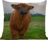MuchoWow® Outdoor Kissen - Schottische Hochlandrind - Kühe Produktbild-Vorschau 1