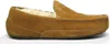 Ugg Ascot M Chestnut - Heren Pantoffel - 1101110-CHE Produktbild-Vorschau 1