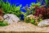Aquarium Kies Quarzbodengrund Bernstein 24 kg 2-3 mm für Produktbild-Vorschau 5