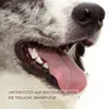 DOGBOSS 100% Natur Kaustab Olivenholz, Größe M (ca. Produktbild-Vorschau 5