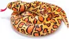 A plush toy snake coiled on a white background. Produktbild-Vorschau