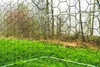 ZIPPER ZI-CR362 Heimtiergehege (3x6x2m) Freigehege Gehege Produktbild-Vorschau 11