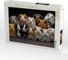 CALVENDO Puzzle viele Meerschweinchen übereinander | 2000 Produktbild-Vorschau 2