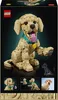 LEGO Icons 11384 Chiot Golden Retriever - Ensemble adulte - Voir les images du produit 5