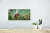 MuchoWow® Poster Waldtier - Eichhörnchen - Moos 40x20 cm - Produktbild-Vorschau 5