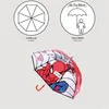 Spiderman paraplu? 71 cm. Lichtgewicht koepelparaplu voor Productafbeelding-voorbeeld 7