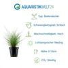 Gräser Set mit 3 Gras Pflanzen Aquariumpflanzen Set 130 Produktbild-Vorschau 2