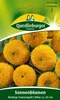 Sonnenblume, Niedrige Sonnengold Produktbild-Vorschau 3