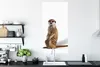 MuchoWow® Poster Erdmännchen - Tiere - Fell 60x120 cm - Produktbild-Vorschau 3