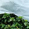 Winterschutz Für Pflanzen, Groß Frostschutz Schutzhülle Produktbild-Vorschau 4