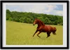 Bild - Bilder - Bilderrahmen - 70 cm x 50 cm - MDF-Rahmen, Produktbild-Vorschau 1