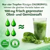 Flüssiges Chlorophyll 100 % natürlich | Nahrungsergänzung | Produktbild-Vorschau 6