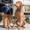 Trixie BE NORDIC Zug-Stopp-Halsband - dunkelgrau - 40 cm Náhled obrázku produktu 14