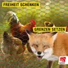Maschendrahtzaun PVC-ummantelt grün – Verzinkter Hühner- & Produktbild-Vorschau 3