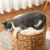 PawHut, torre per gatti, altezza 50 cm, con 2 nascondigli, Anteprima dell’immagine prodotto 7