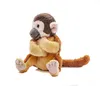 A plush toy monkey sitting on a white background. Produktbild-Vorschau