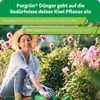 Purgrün -Kiwi-Dünger 1 Liter Produktbild-Vorschau 6