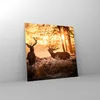 Bilder auf glas - Deer Heidekraut Tier - 50x50cm - Produktbild-Vorschau 4