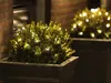 Two potted boxwood bushes decorated with warm white LED lights are shown at night, with a brick wall in the background. Produktbild-Vorschau