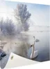 Gartenposter - 50x50 cm - Schwäne im Yamnaka See  - Produktbild-Vorschau 1