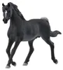 Schleich Horse Club - 13981 Arabier hengst Productafbeelding-voorbeeld 7