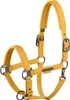 Eskadron Platinum Halfter " FAUX LEATHER DOUBLE PIN ", Produktbild-Vorschau 1