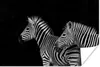 MuchoWow® Poster Zebra - Weiß - Tiere - Schwarz 180x120 cm Produktbild-Vorschau 1