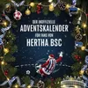 Der inoffizielle Adventskalender für Fans von Hertha BSC Produktbild-Vorschau 2
